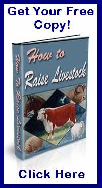 Click Here To Get Your Copy Click Here To Get Your Copy